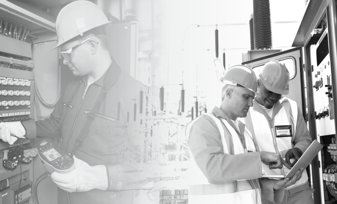 BR TerraPlanagem Profissional